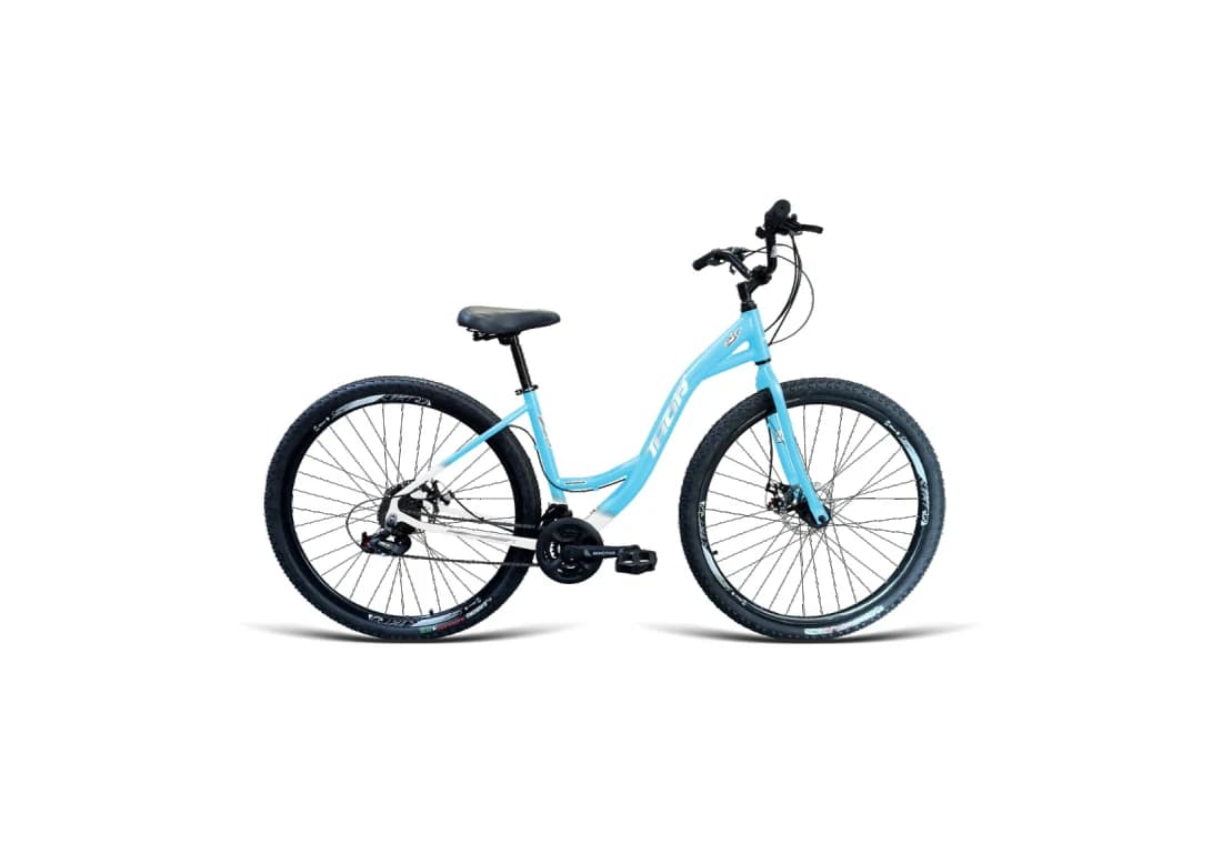Bicicleta Aro 29 Praiana