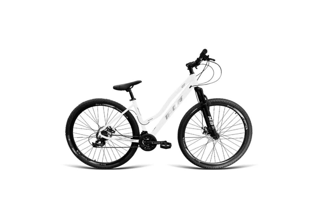 Bicicleta Aro 29 Rebaixada