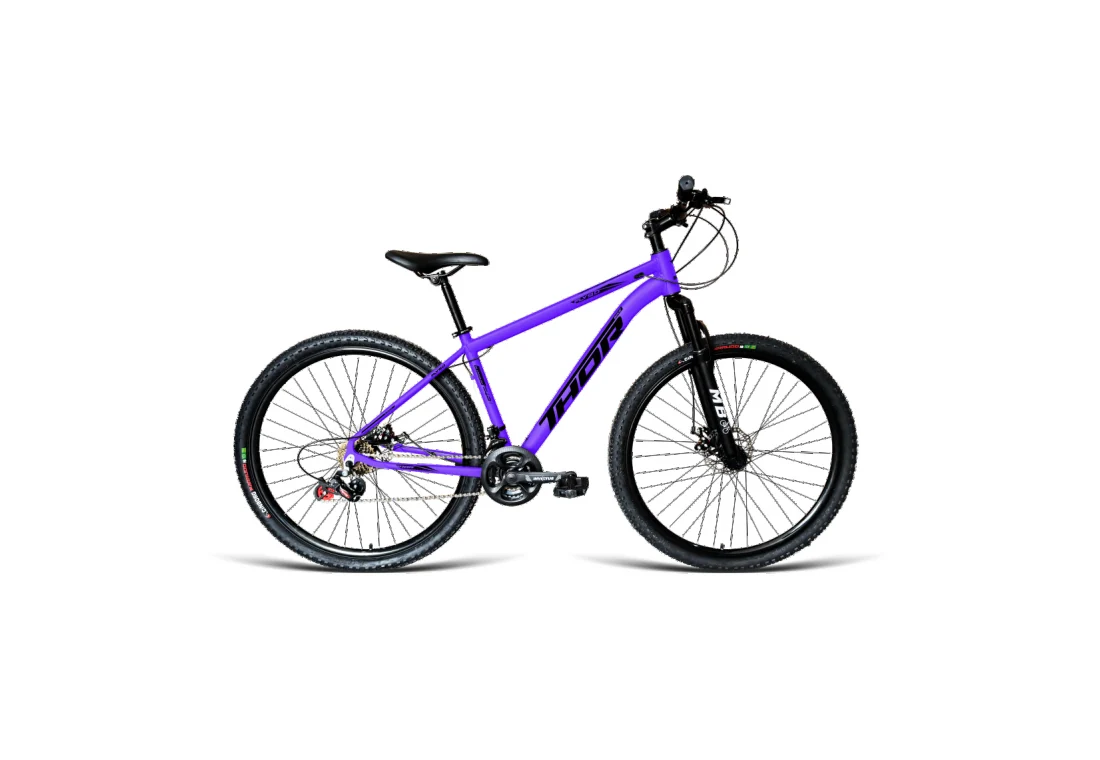 Bicicleta Aro 29 MTB - Roxo - Masculino