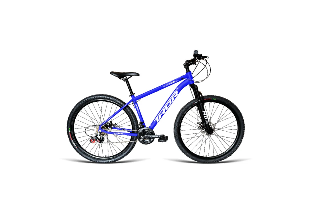 Bicicleta Aro 29 MTB - Azul - Masculino
