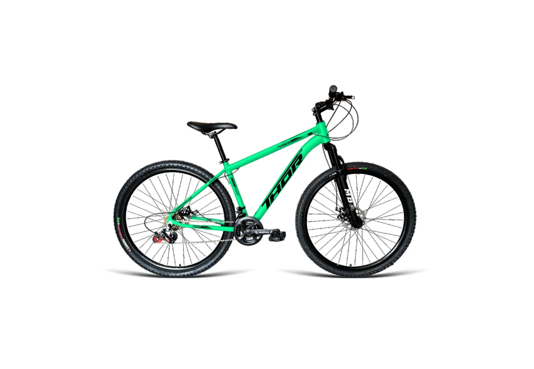 Bicicleta Aro 29 MTB - Verde água - Masculino