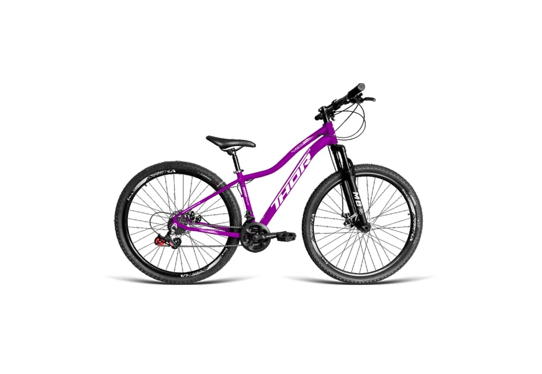 Bicicleta Aro 29 MTB - Roxo - Feminino