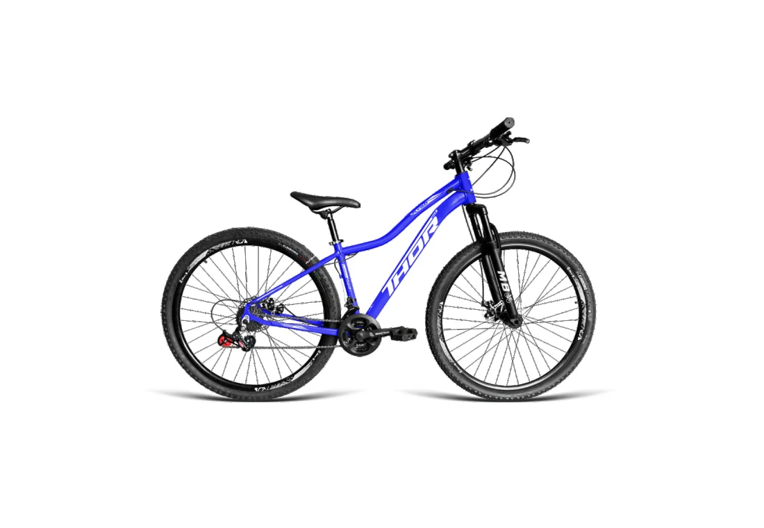 Bicicleta Aro 29 MTB - Azul - Feminino
