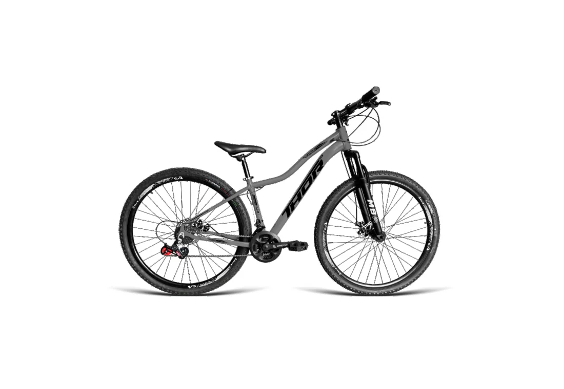 Bicicleta Aro 29 MTB - Grafite - Feminino