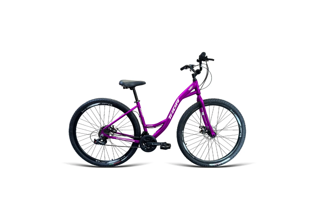 Bicicleta Aro 29 Praiana - Roxo