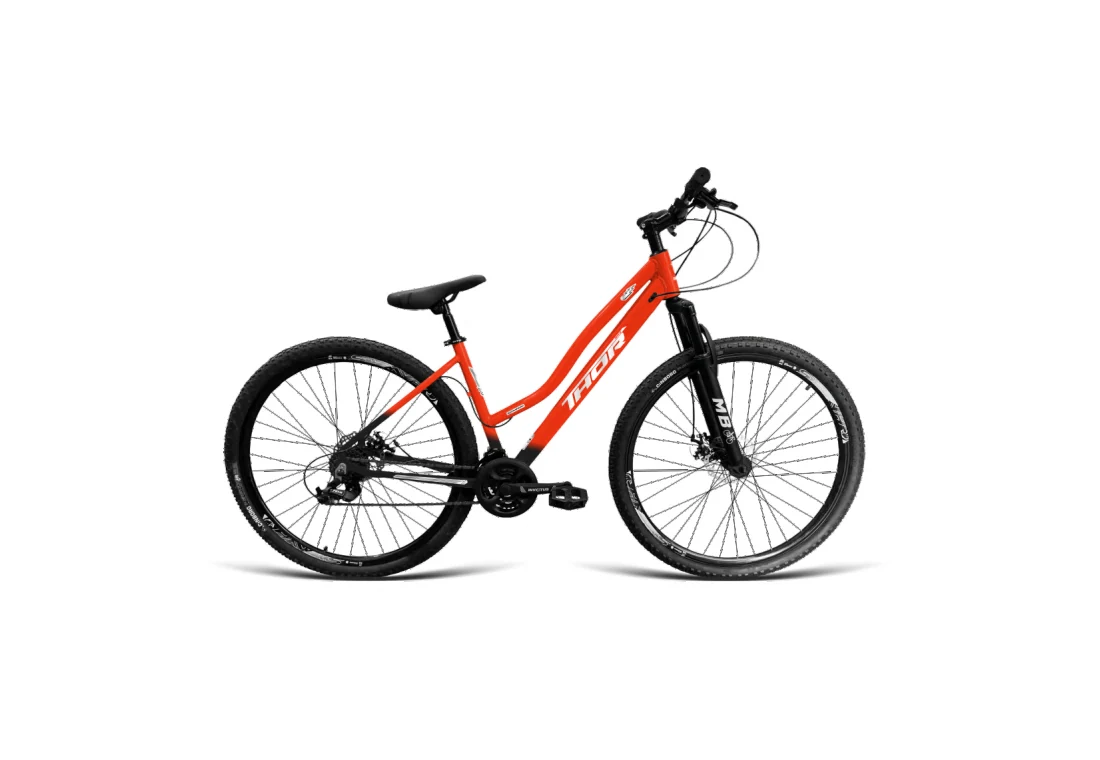 Bicicleta Aro 29 Rebaixada - Laranja/Preto